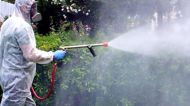 Disinfestazione e Derattizzazione Prato, Empoli e Firenze